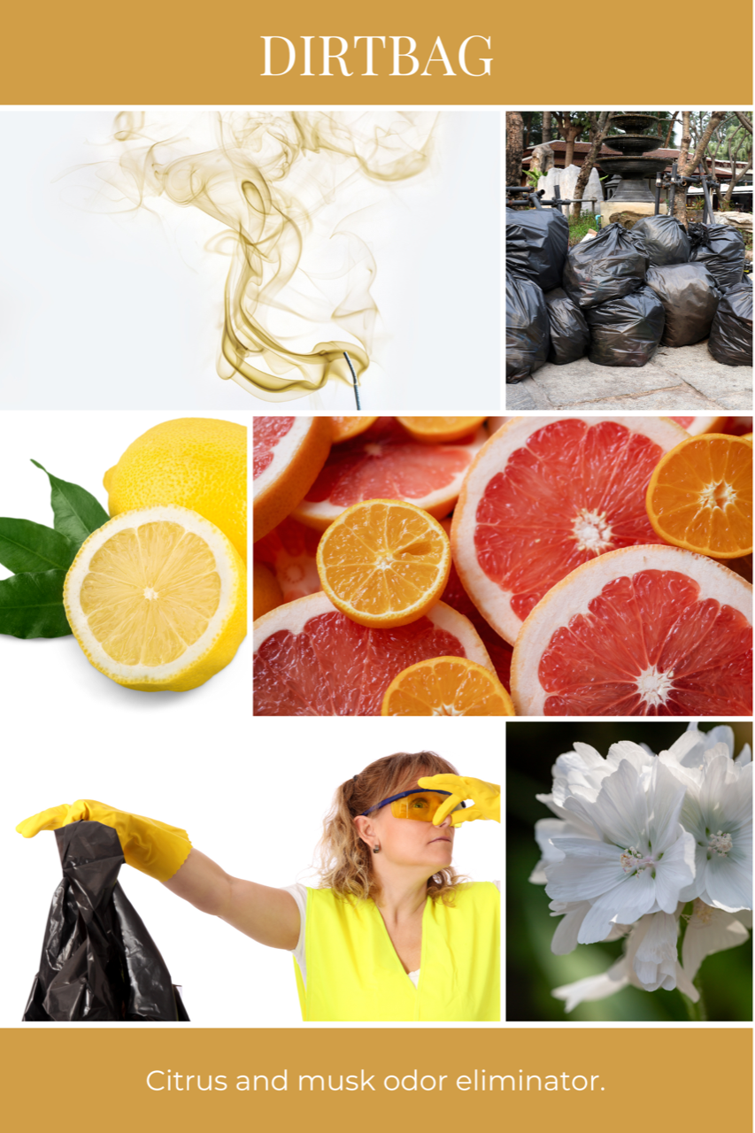 Eco Candle Company - Wholesale Jar/Filled Candle - The MANdle DIRTBAG | citrus odor eliminator2