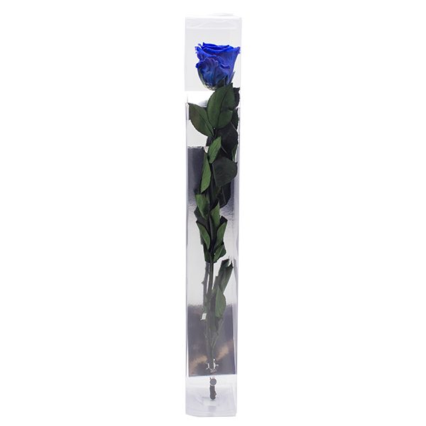 Concari.flores Preservadas - Wholesale Artificial Flowers - ROSE WITH PRESERVED STEM1
