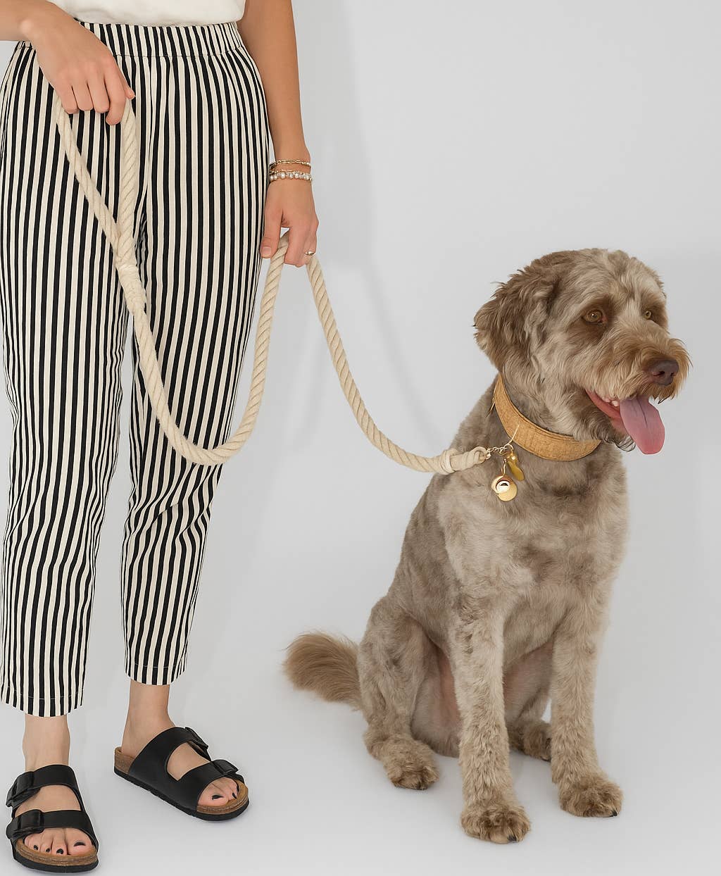 COCKIET - Wholesale Pet Leash - Dog - COTTY – 100% Natural Leash