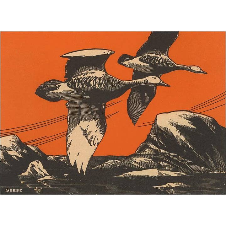 Magnet WD-08 Holzschnitt von Gänsen für den Großhandel von Found Image Press