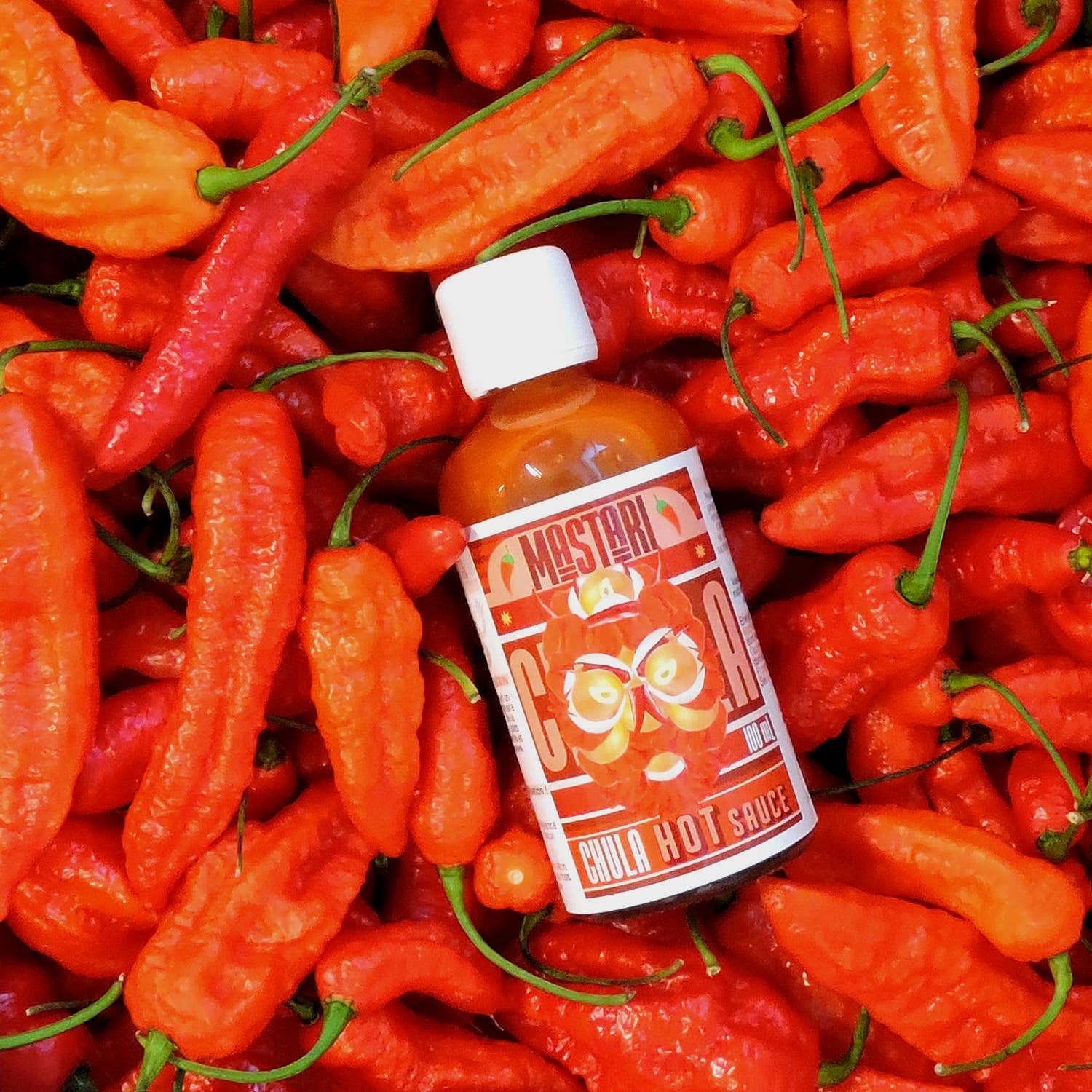 MASTARI - Wholesale Hot Sauce - CHULA Hot sauce 🌶️1