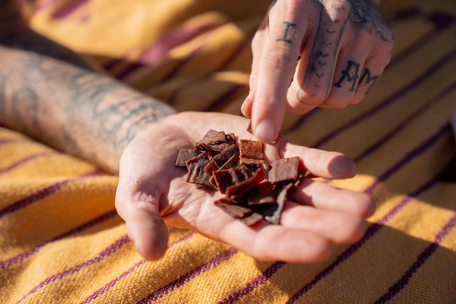 Holy cacao – wholesale Dried/dehydrated fruit – Holy Cacao Natural Dehydrated Cacao Fruit Snack, 2oz3