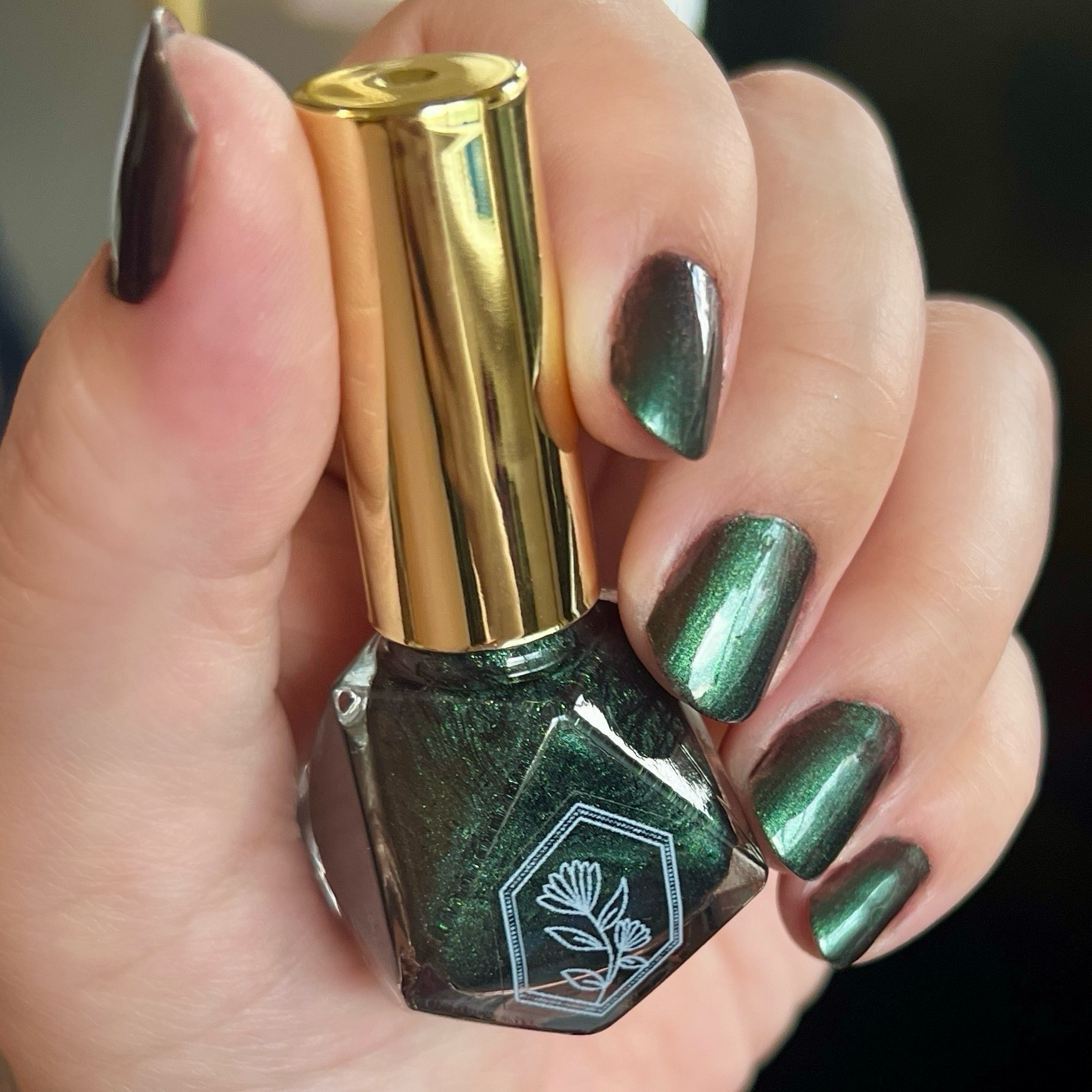 Palafoxia Beauty - Wholesale Nail Polish - Wilderness - Nail Polish4