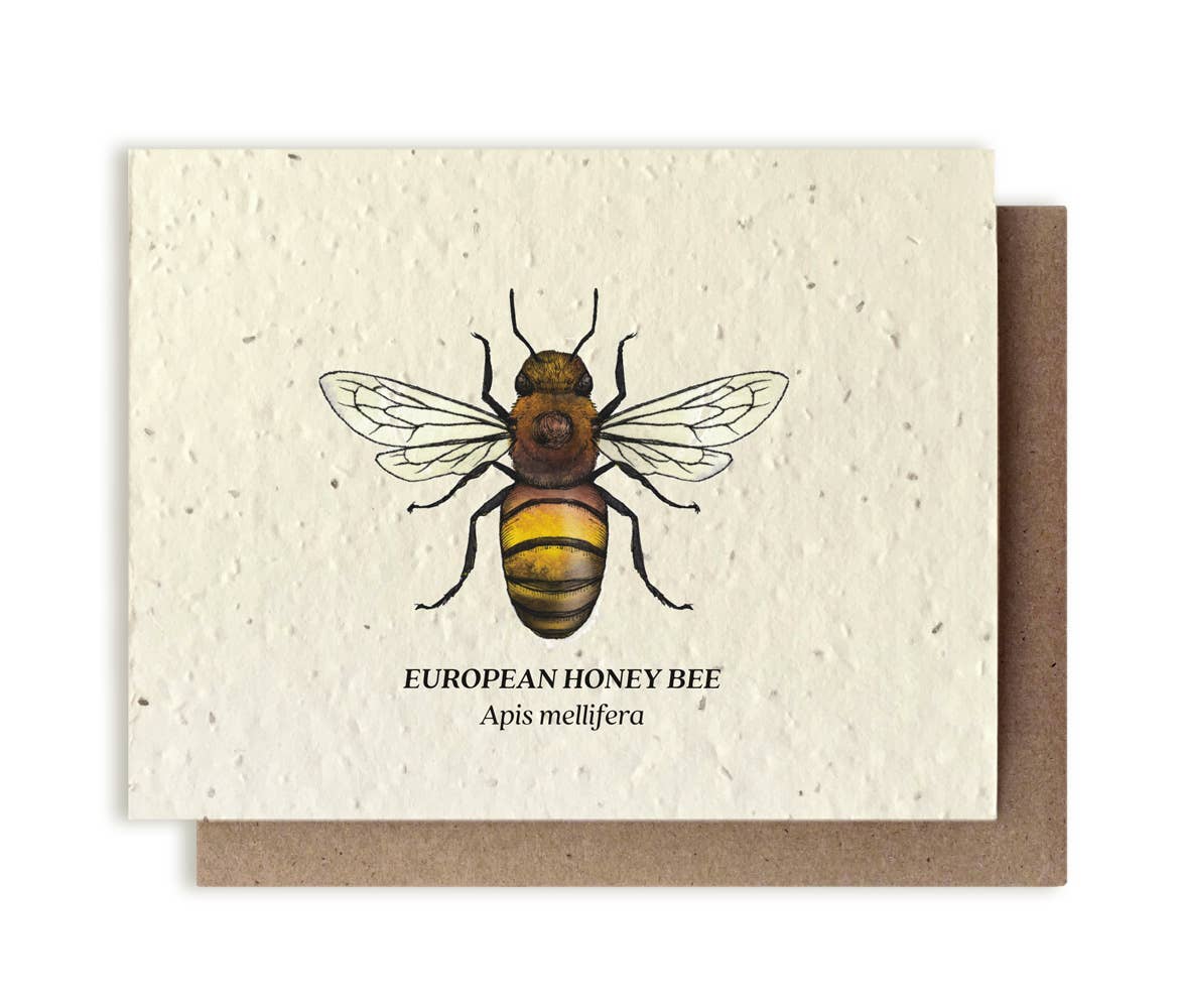 Small Victories - Wholesale Everyday Greeting Card - Honey Bee Plantable Wildflower Seed Card0