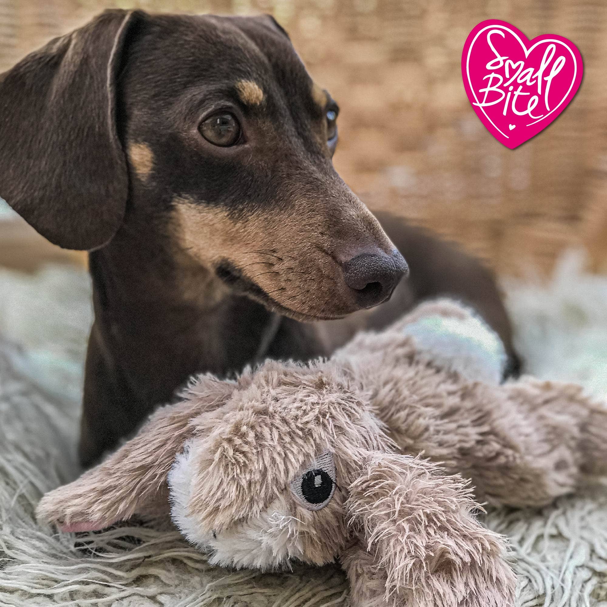 Ancol Pet Products Ltd - Wholesale Pet Plush Toy - Dog - Small Bite Plush Rabbit1