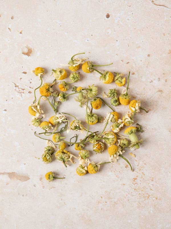 Fleurs de camomille pour la vente par Tea Huntress