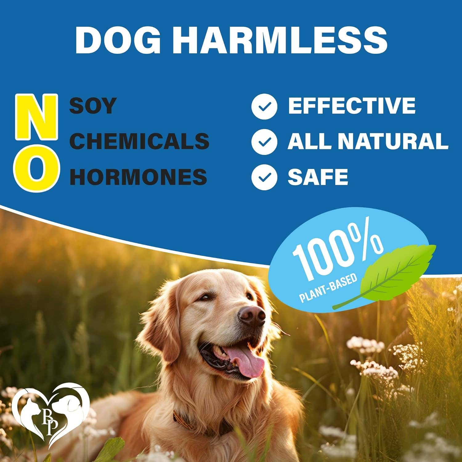 Beloved Pets - Wholesale Pet Treats - Dog - Beloved Pets Flea and Tick Prevention Chewable Pills for Dog4