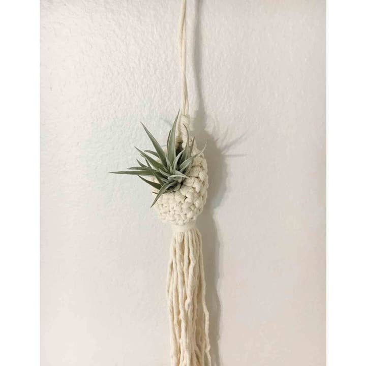 La Bella Monte – wholesale Hanging planter – Pineapple Hanging Planter For Living Room Holiday Décor4