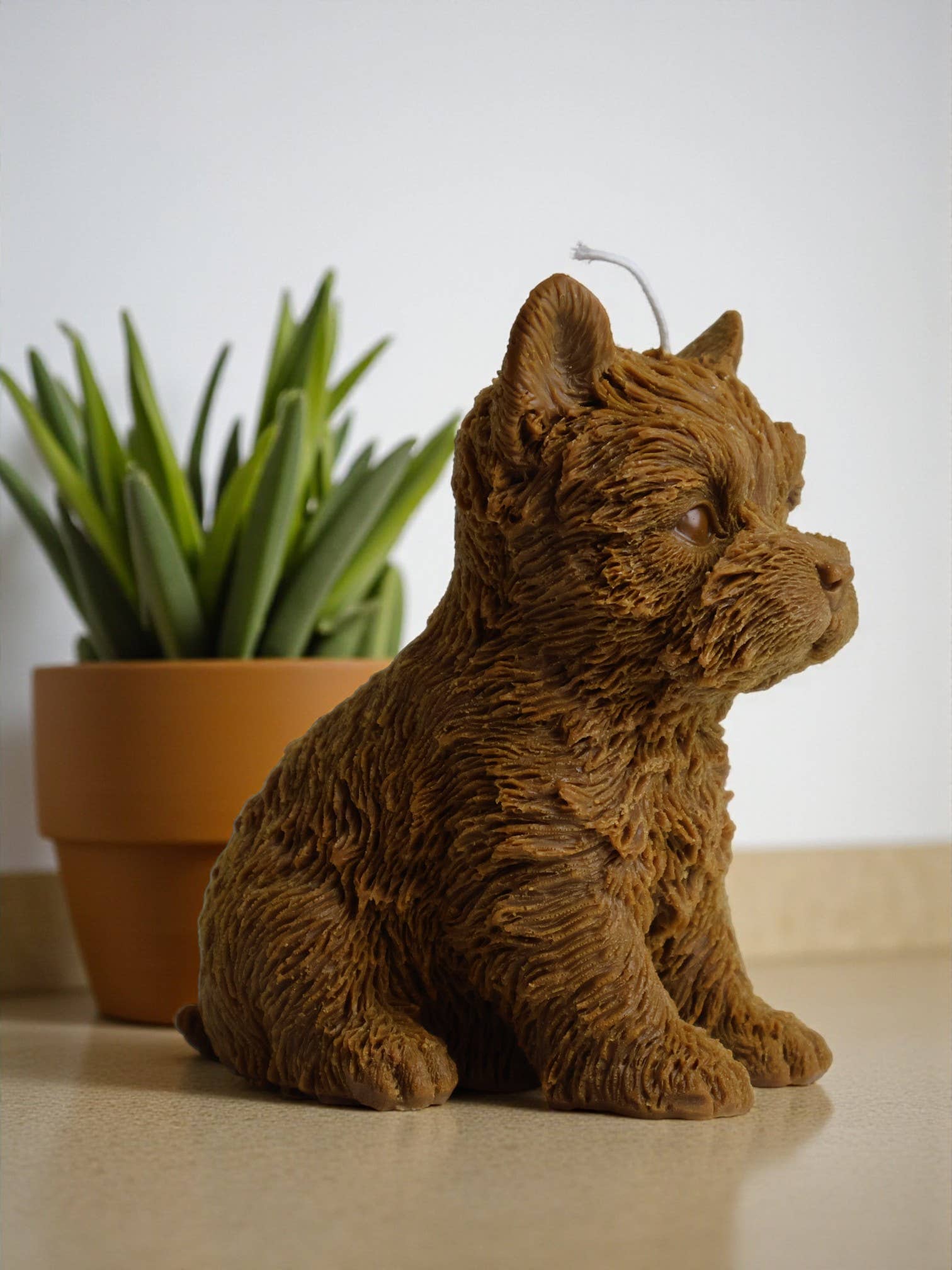 Agaboo Candle – Großhandel Geschenkkerze – Yorkshire-Terrier-Kerze 6x5 Zoll2