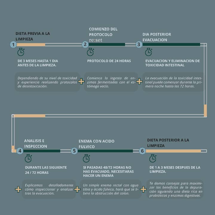 bionobo - Wholesale Oral Supplement/Vitamin - re:set® deep detox kit4