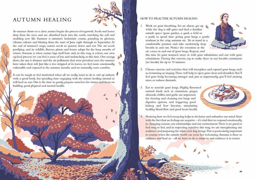 Independent Publishers Group - Wholesale Nature & Outdoors - Wild Handbook6