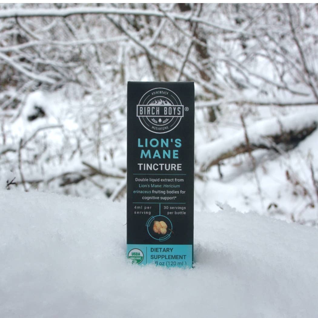 Birch Boys - Wholesale Tincture - Organic Lion's Mane Tincture1