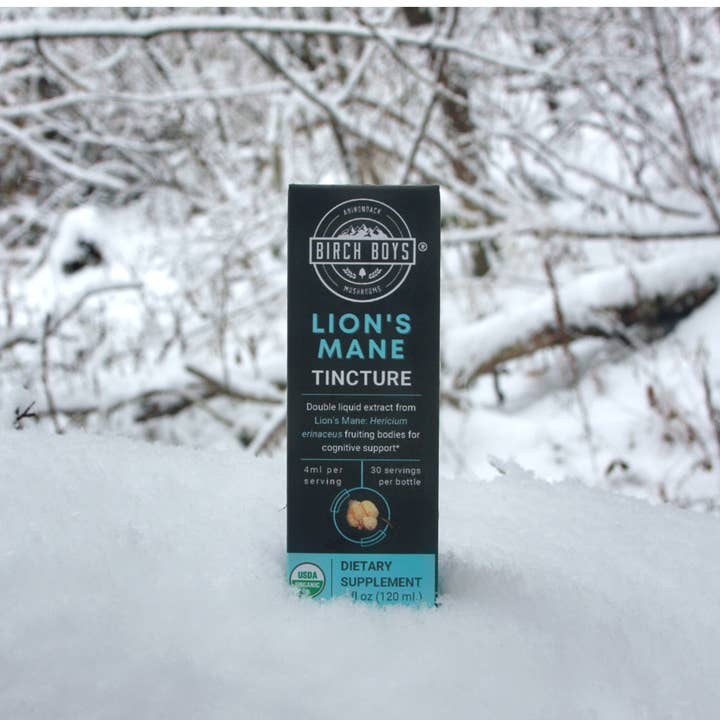 Birch Boys - Wholesale Tincture - Organic Lion's Mane Tincture1
