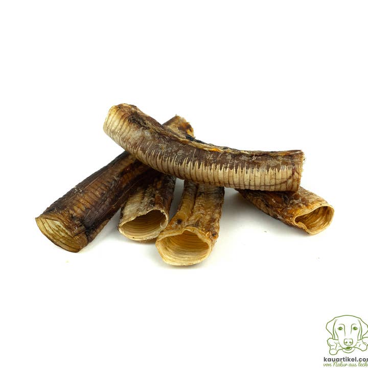 Kauartikel.com GmbH - Wholesale Pet Bone/Rawhide - Dog - Ostrich necks, sections0