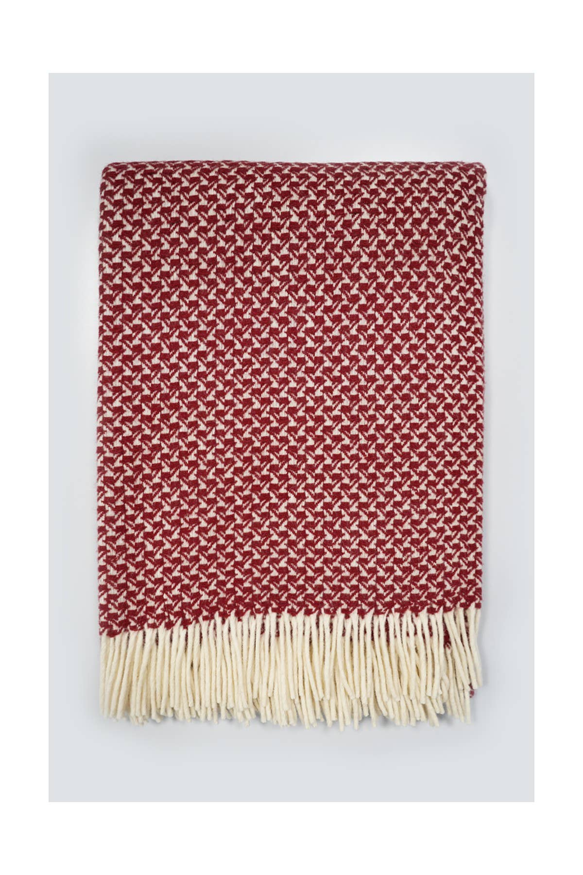 Chicoração - Vendita all'ingrosso Plaid - Coperta Rondine - più colori54