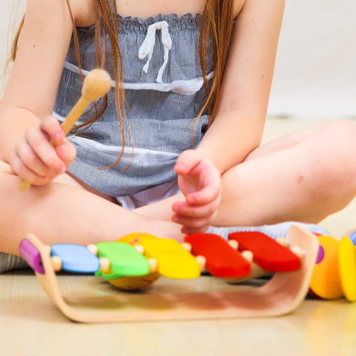 PlanToys - Wholesale Musical Toy - Kids & Baby - Oval Xylophone
