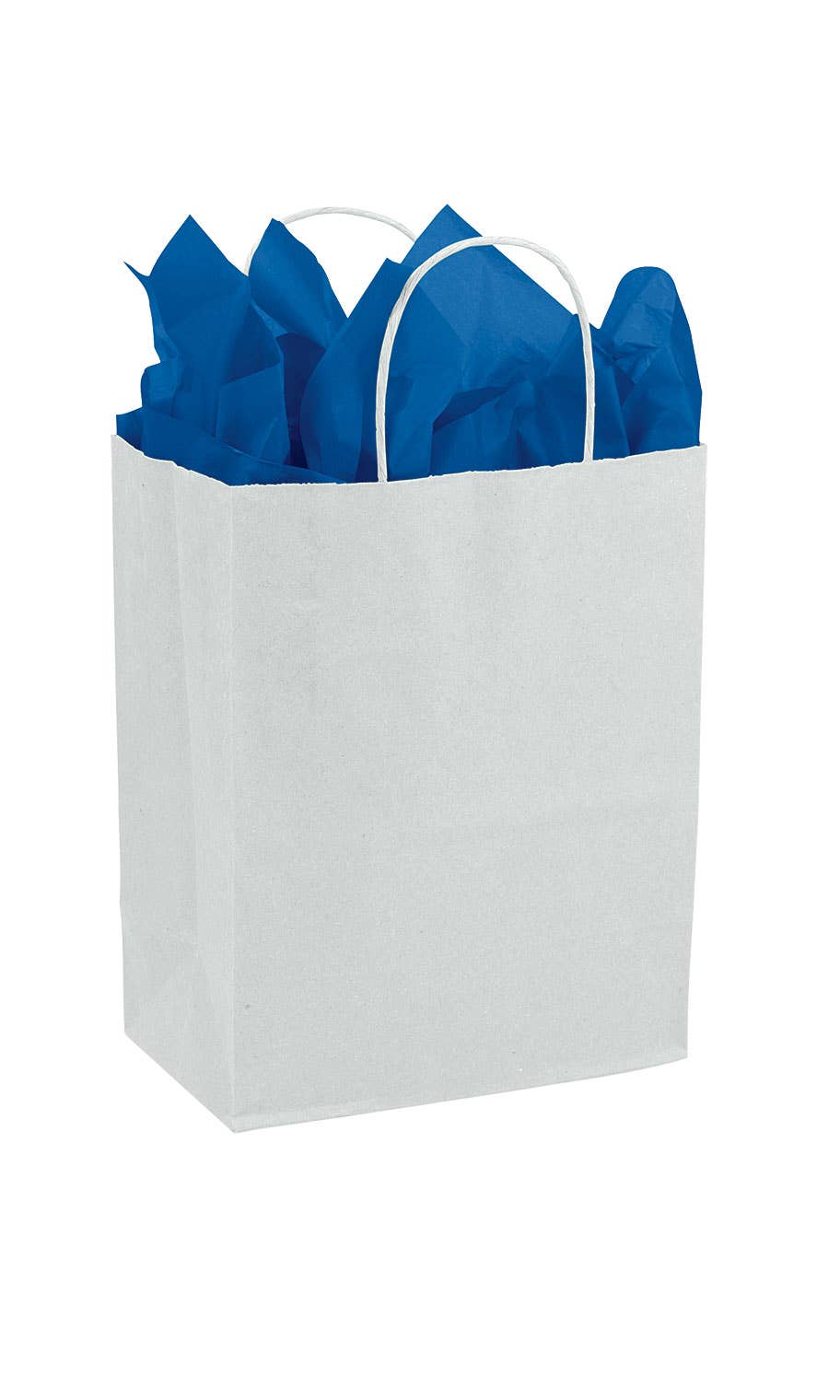 Store Supply Warehouse - Wholesale Gift Bag - Kraft Paper Shopping Bags2