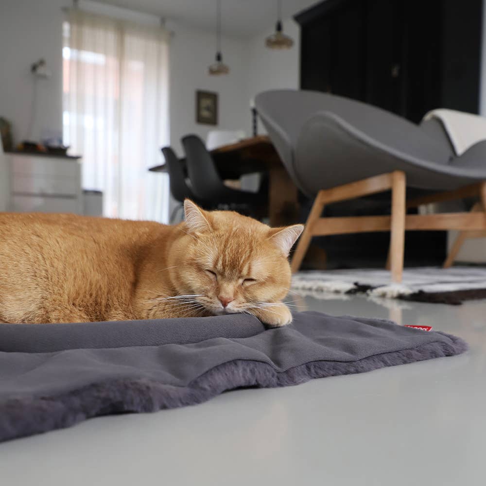 Hoopo - Wholesale Pet Bed - Cat - Flip Cat bed11