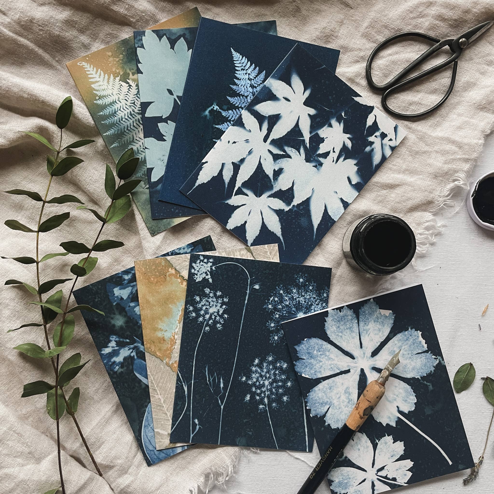 Atwater Designs - Vente Carte de vœux classique - Coffret de cartes de vœux Slow Mornings | Botanical Cyanotype2