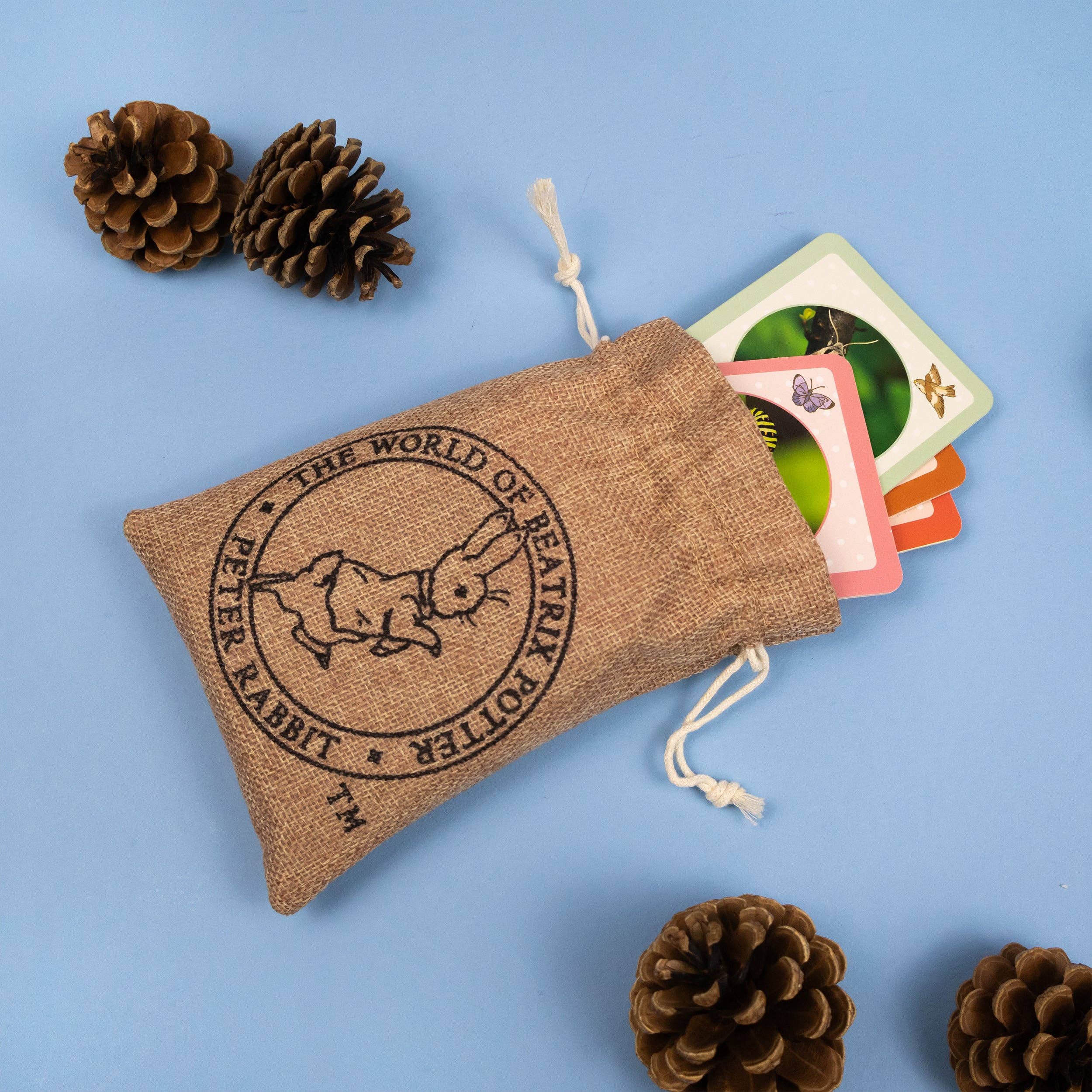 Robert Frederick Ltd – wholesale Toy set – Kids – Peter Rabbit Bug Spotter Activity Set5