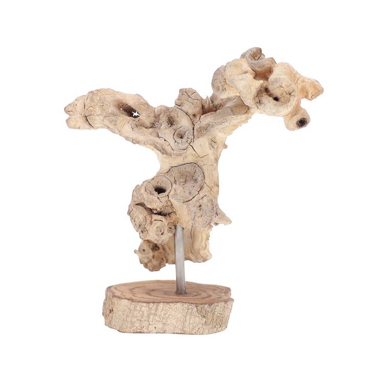 Madeira branqueada Escultura em madeira flutuante 4-6 “branqueada, suporte de madeira para venda a revendedores na Faire1