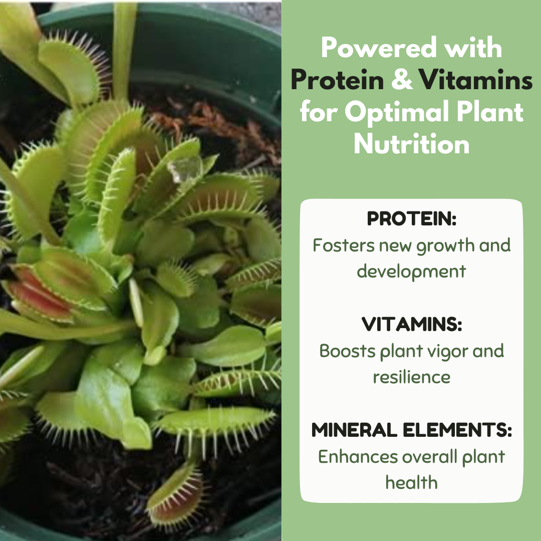 bloomify - Wholesale Fertilizer - Carnivorous Plant Food, Designed for Venus Flytraps, Sundews and Pitcher Plants, 2.5oz5