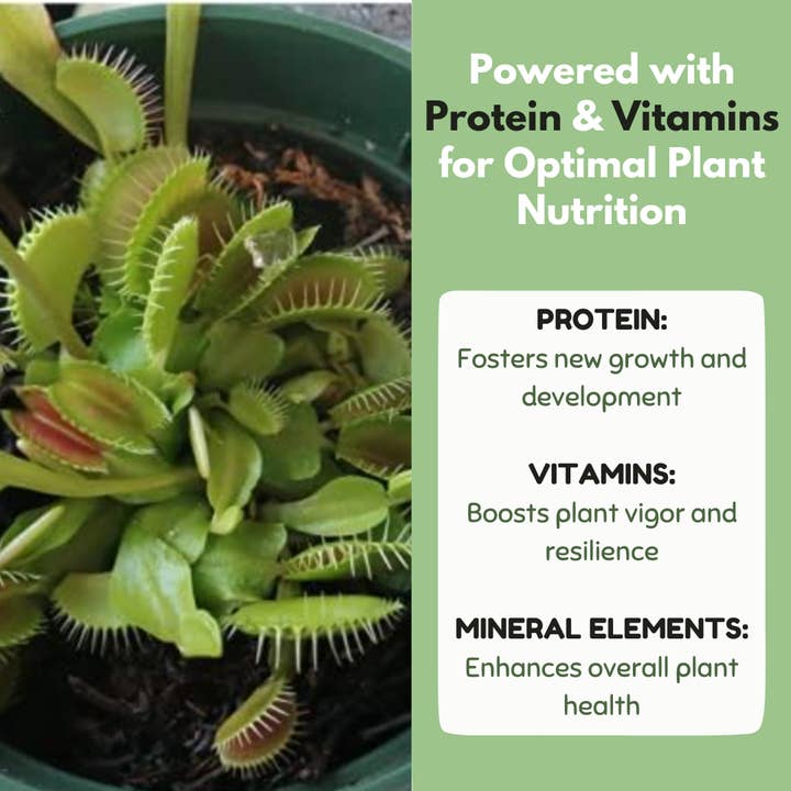 bloomify - Wholesale Fertilizer - Carnivorous Plant Food, Designed for Venus Flytraps, Sundews and Pitcher Plants, 2.5oz5