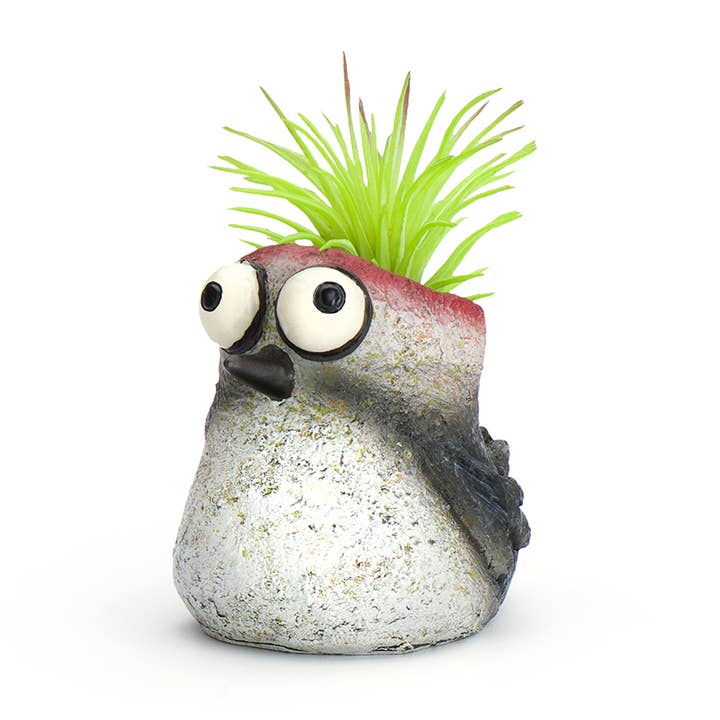 Baby Woodpecker, Winnie, Bird Mini Blobhouse Planter for wholesale by Cohasset Gifts