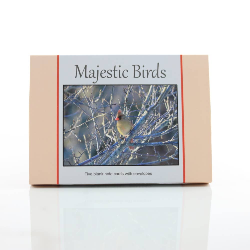 New England Prints - Wholesale Stationery/Notecard Set - Box of 5 All Occasion Majestic Bird Blank Note Cards3