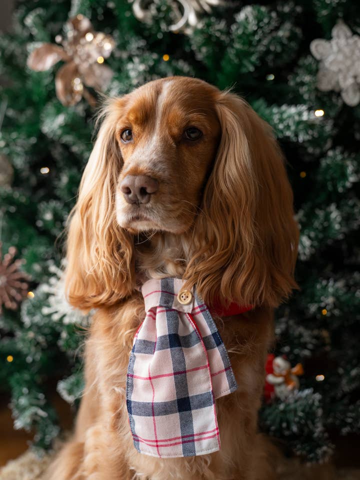 Christmas Scarf Goals for wholesale by Pajé Snoods