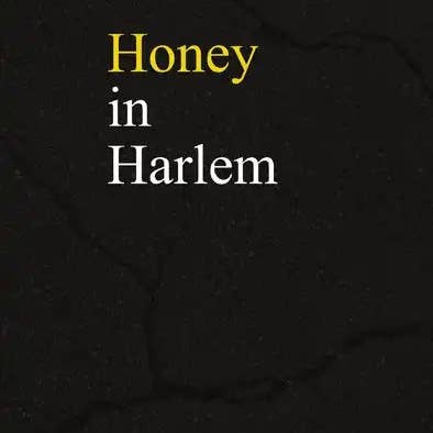 Books by splitShops - Wholesale Poetry & Drama - Honey in Harlem - Paperback