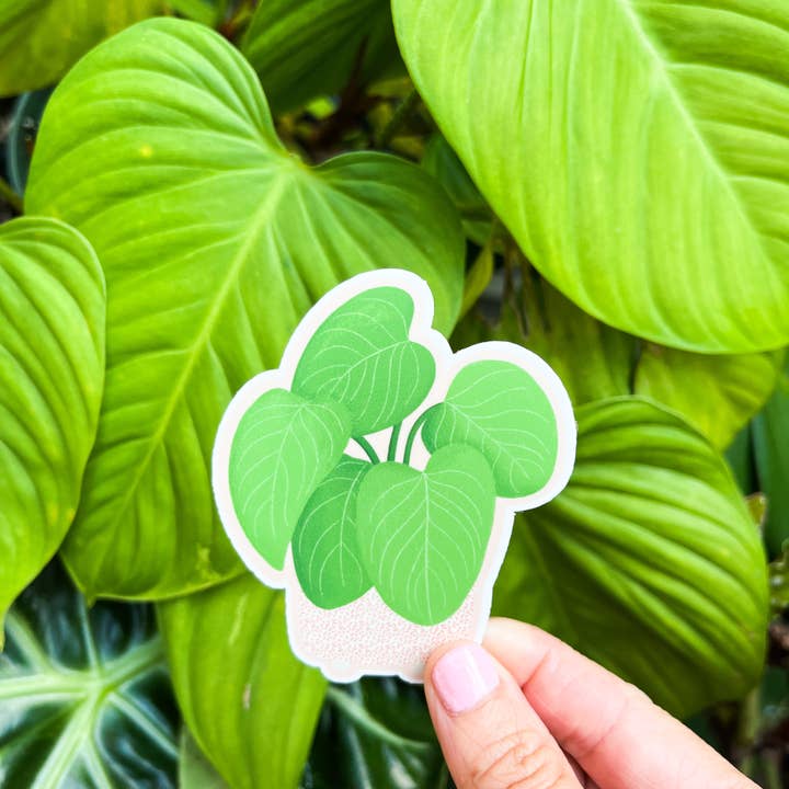 Tiny Plant Market – wholesale Klistermärke – Philodendron Fuzzy Petiole Växt Klistermärke2