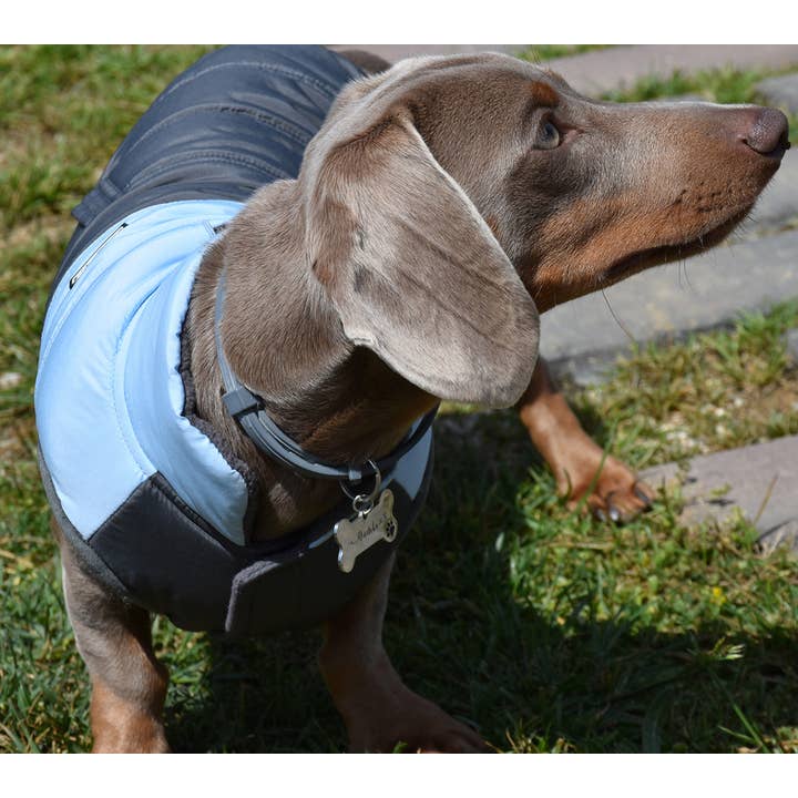 Nayeco – Großhandel Haustierjacke – Hund – Monte Carlo blaue Jacke2