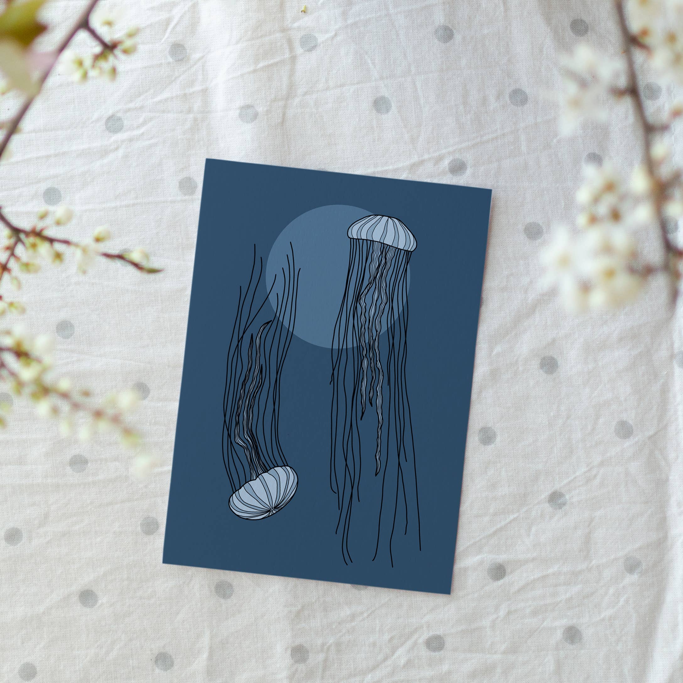 Rotberta - Vendita all'ingrosso Cartoline - Cartolina medusa1