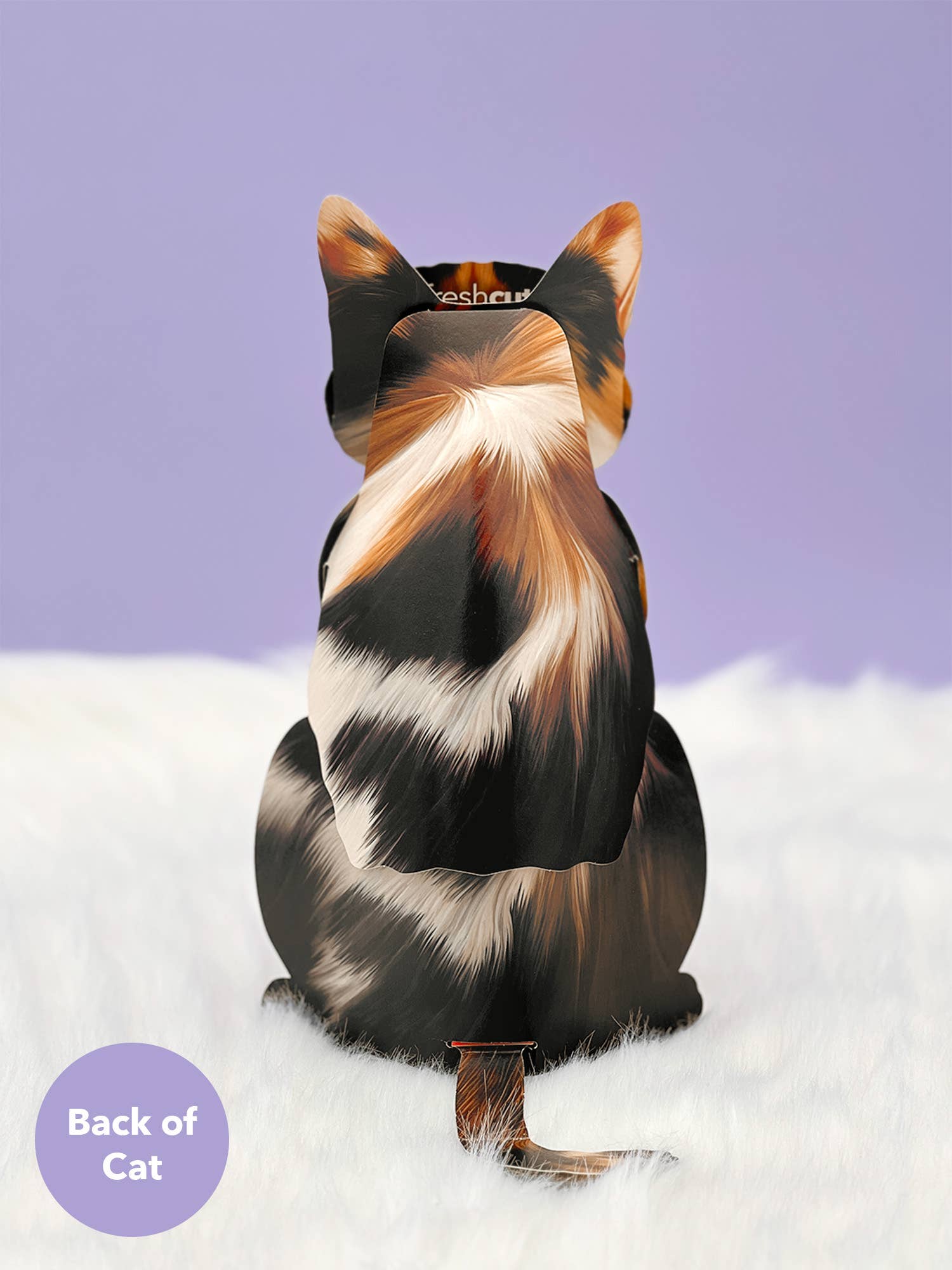 FreshCut Paper LLC – wholesale Everyday greeting card – Calico Cat (6 Pop-up Greeting Cards)1