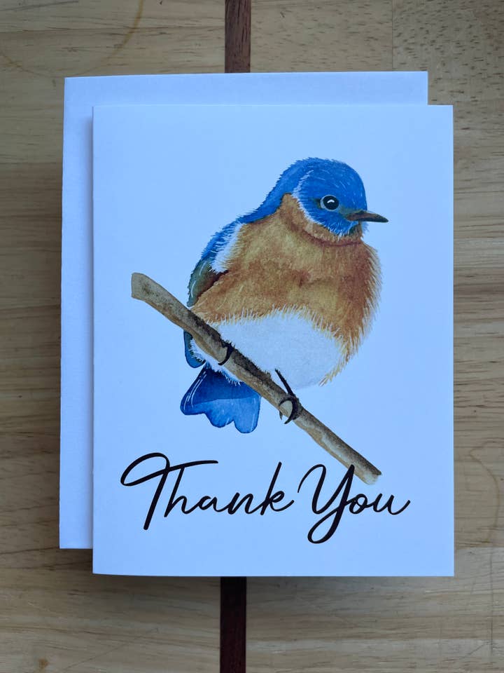 Eastern Bluebird - Thank You - Watercolor Greeting Card for wholesale by Kristin Schmidt Artist