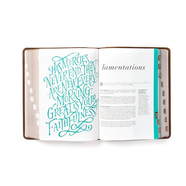 Lifeway - Wholesale Display Book - CSB She Reads Truth Bible, Brown Genuine Leather, Indexed4