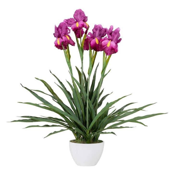 Orchideeplant Cattleya 60x60x70 cm_502003 voor wholesale door Garpe Interiores - GARPE GROUP - GARCÍA PÉREZ Y CÍA S.L.-