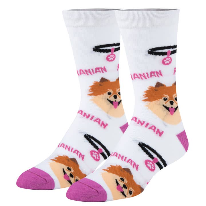 Crazy Socks - Wholesale Socks - Women's - Crazy Socks - Womens Crew - Pomeranian2