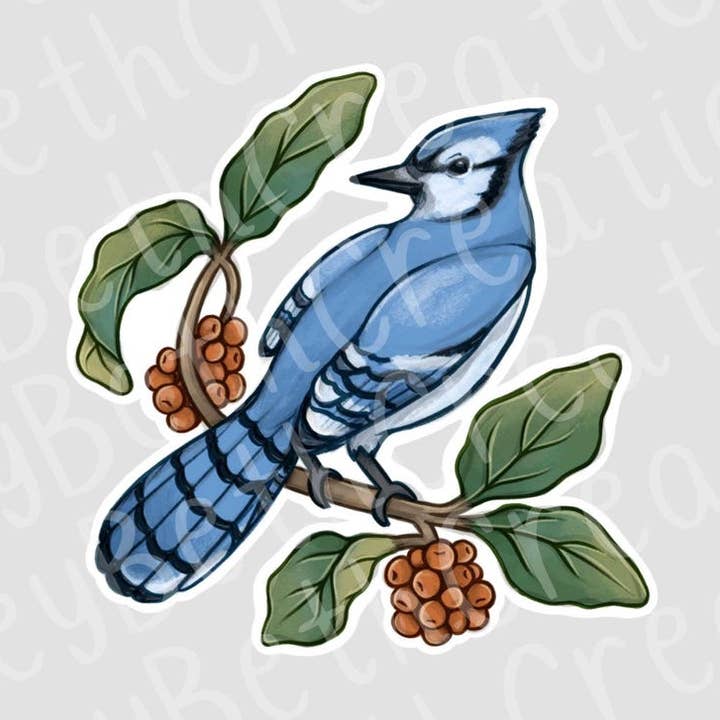 Blue Jay Sticker | Flower Sticker | Bird Sticker for wholesale by CarleyBethCreations