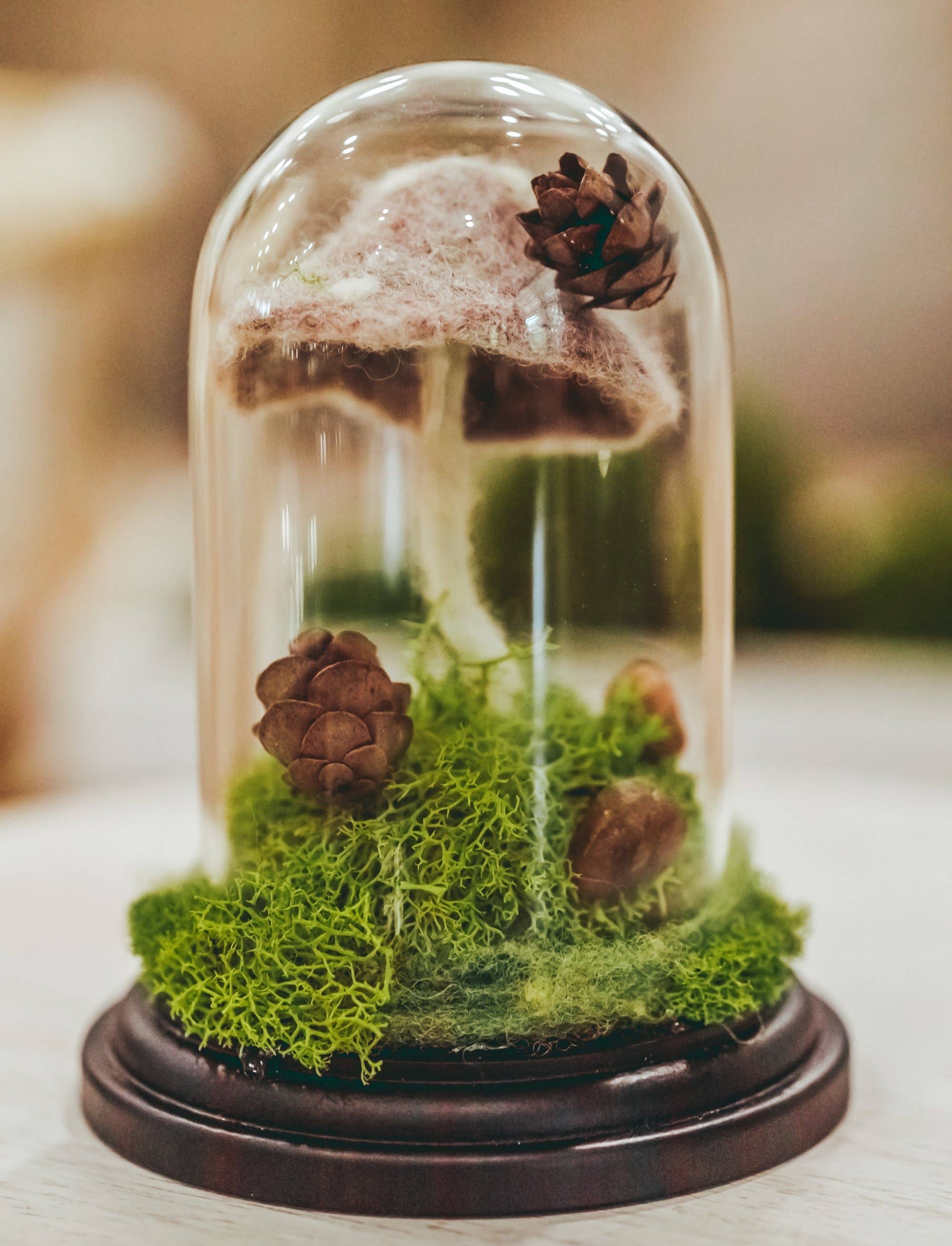 MJ and Me - Vendita all'ingrosso Decorazioni da tavolo - Cloche per terrario Forest Floor4