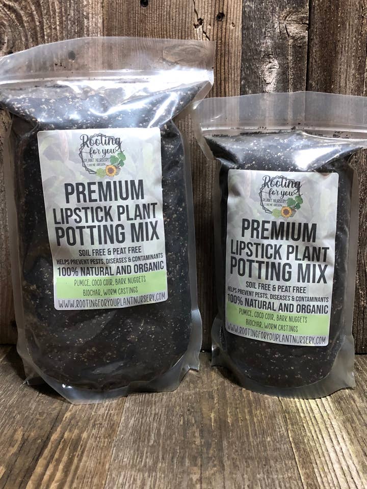 LIPSTICK PLANT Premium Potting Mix for wholesale by Rooting For You Plant Nursery