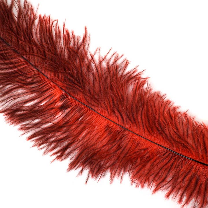 Zucker Feather Products - Venta al por mayor Material para manualidades - Seda de plumas de avestruz, color rojo1
