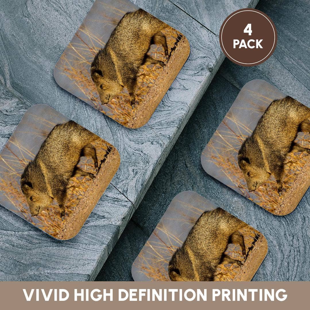 3dRose - Wholesale Coasters - 3dRose, USA, New Mexico, Bosque Del Apache NWR. Profile of javelina., Coaster10