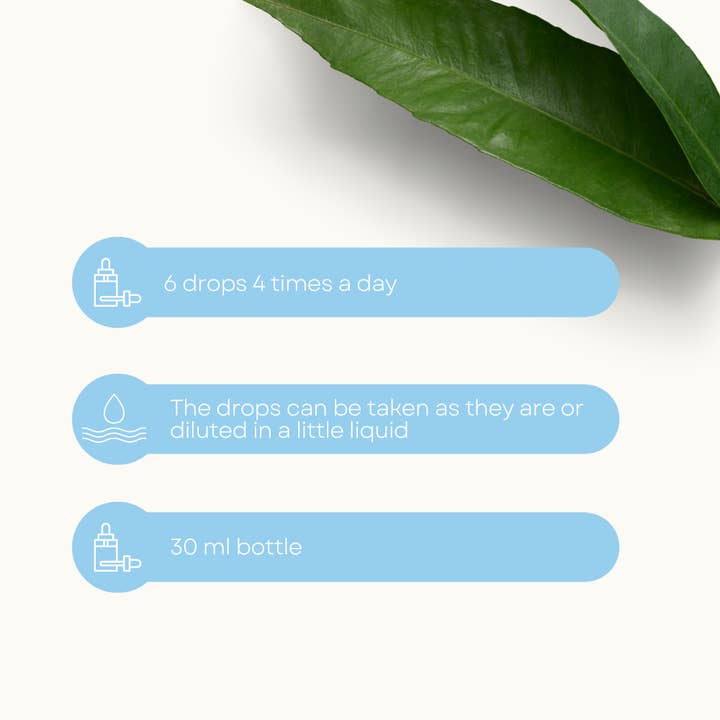 Lemuria - Wholesale Oral Supplement/Vitamin - Food Supplement for Fear and Scare - EQUILIBRE 5 - 30 ml2