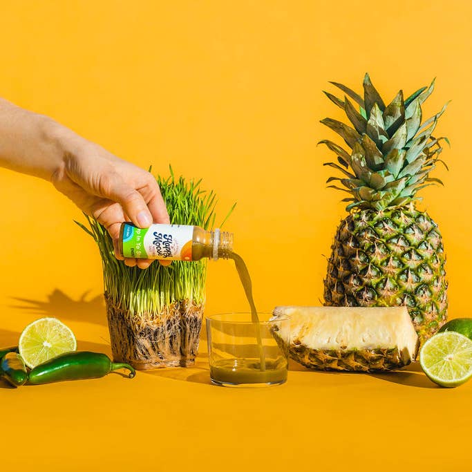 Happy Moose Juice - Wholesale Wellness Juice/Tonic - Wellness Shots - Mix and Match - 3 x 24 of each recipe11