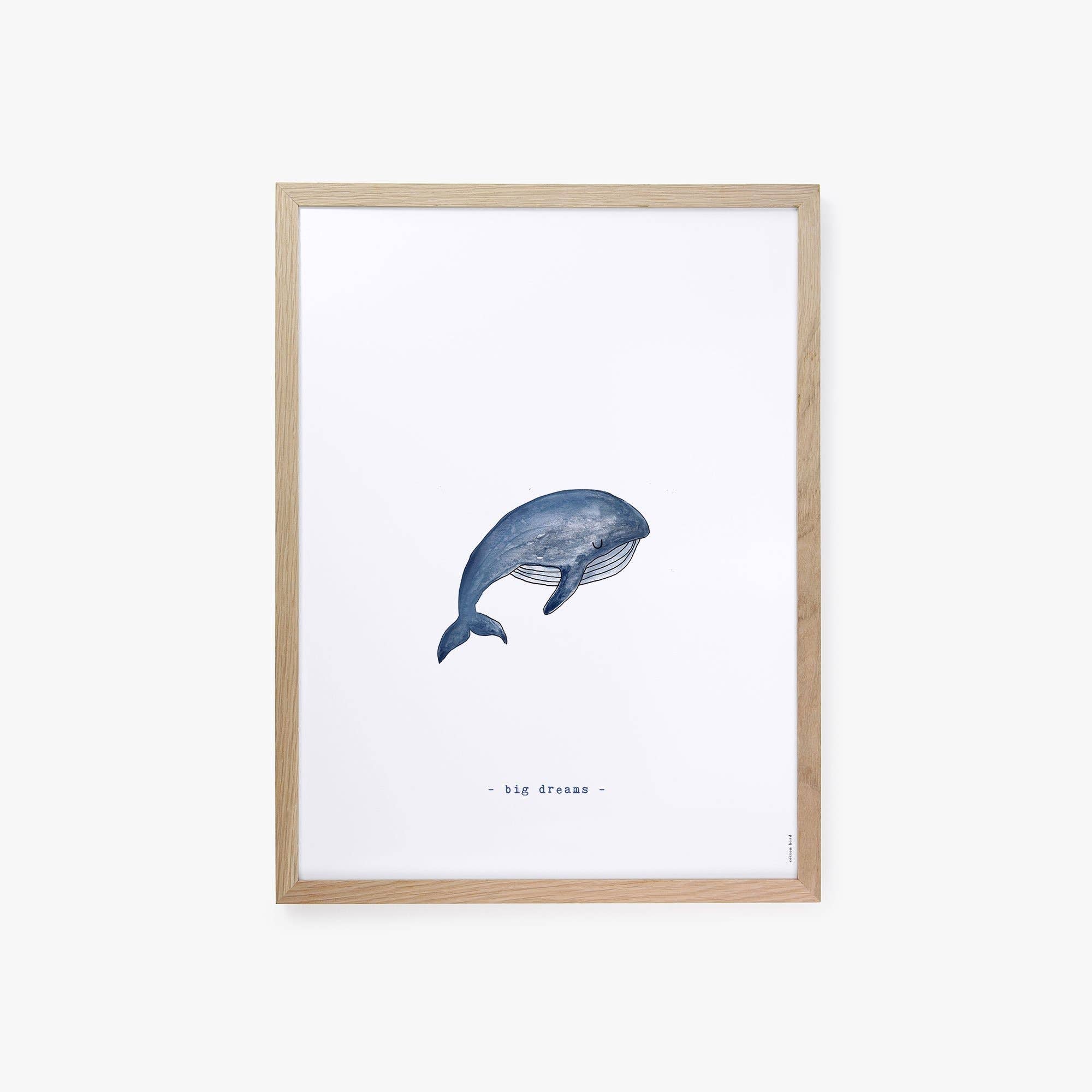 Cotton Bird – Großhandel Poster – Cachalot 3 plakat2