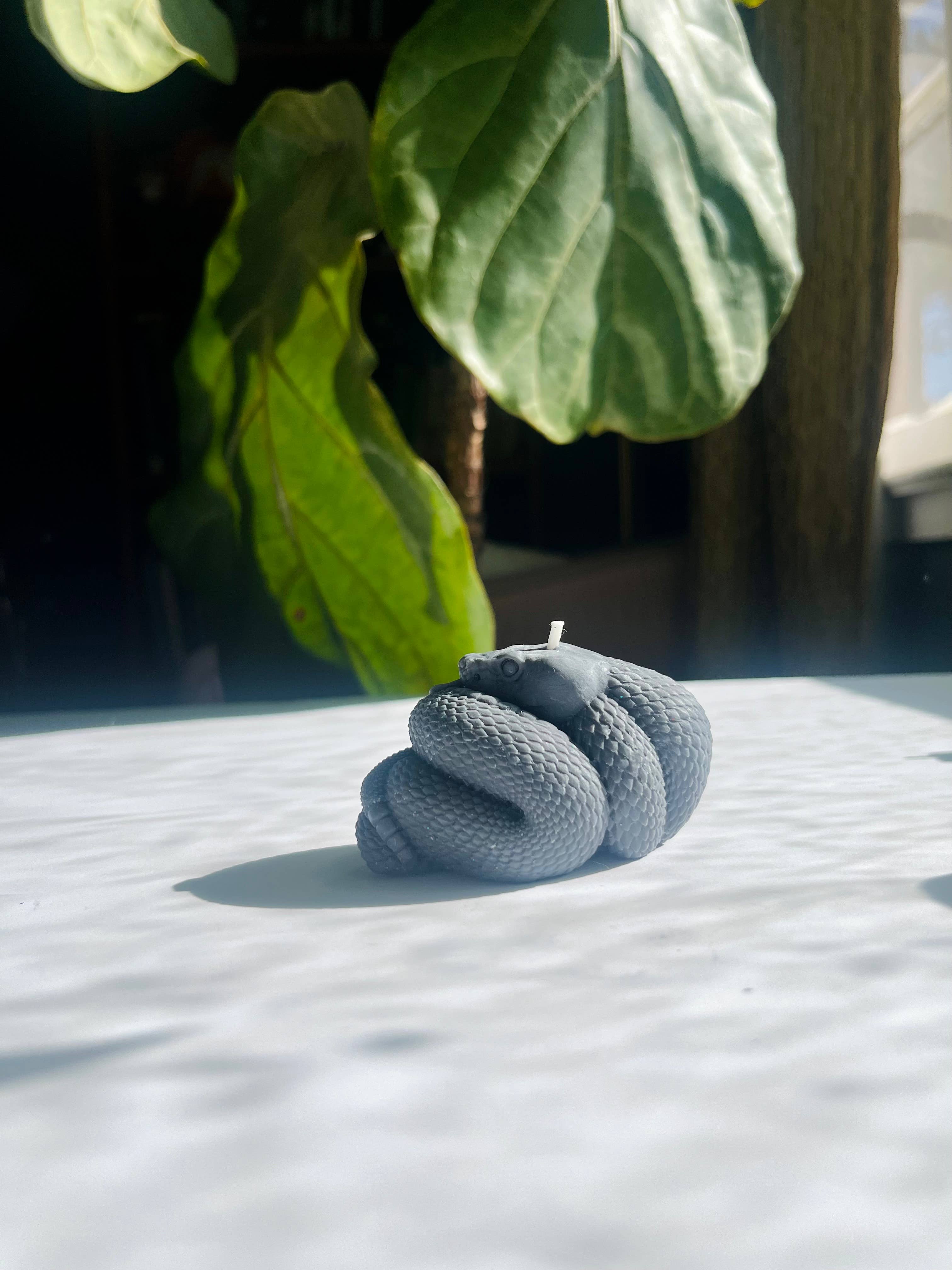 Beauty and the Moon - Wholesale Pillar Candle - Black Snake Candle | Witch Candle | Snake Art | Beeswax Soy 13