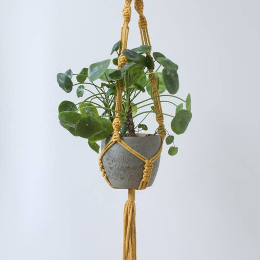 Macramé plantthange amarelo por atacado de Desired-Design