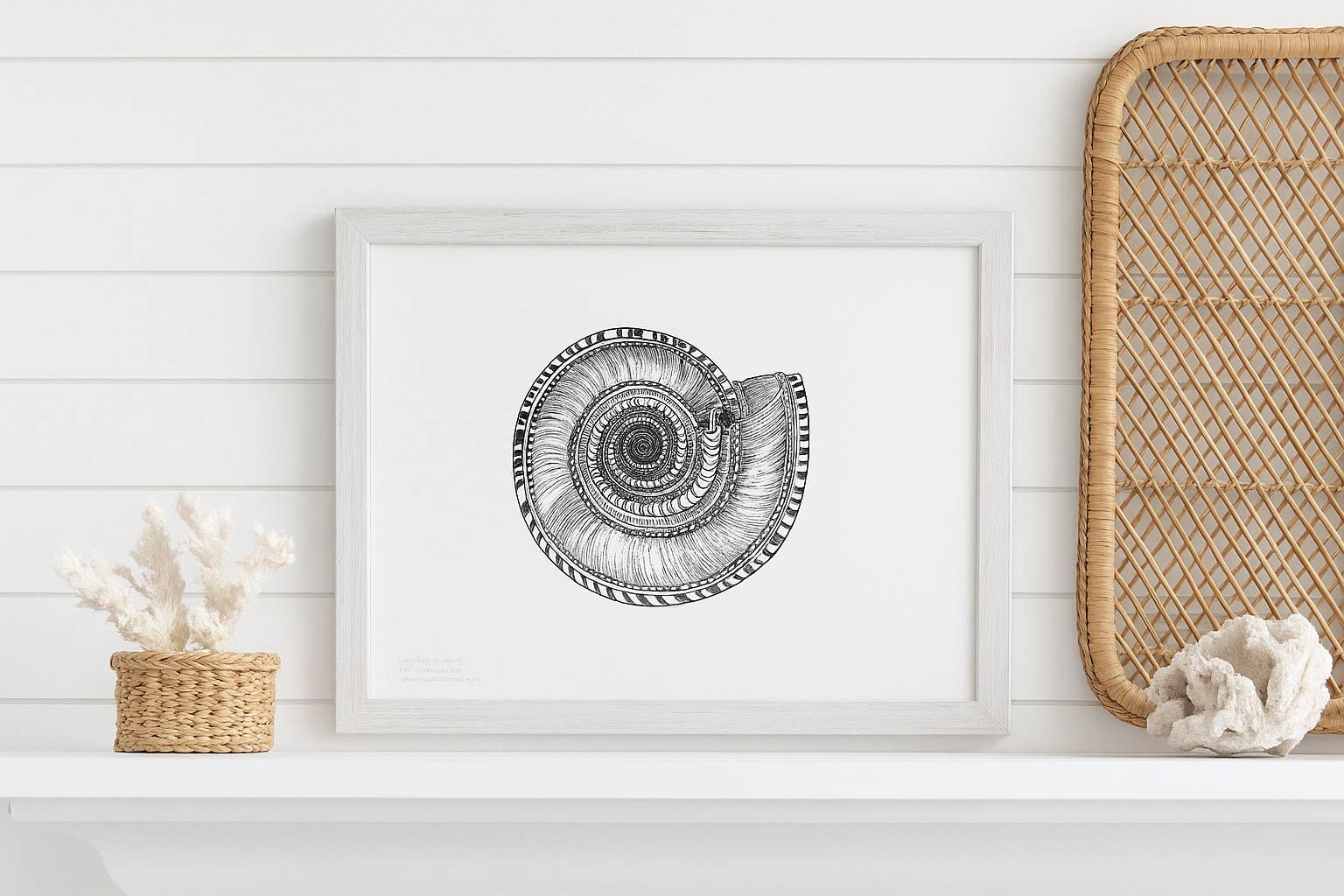 Missive - Wholesale Art Print - Solarium Shell Limited Edition Letterpress Wall Art Print